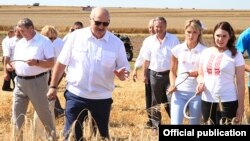 Аляксандар Лукашэнка ідзе па полі зь сярпом у ААТ «Александрыя», 2017 год