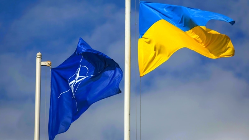 НАТО планирует предоставлять Киеву больше разведданных о возможностях РФ в сфере радиоэлектронной борьбы – СМИ