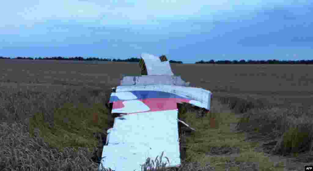 Malaysia Airlines markings are clearly visible on what appears to be a piece of the plane&#39;s tail.