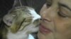 Crimean Strays Find Love At A Makeshift Shelter