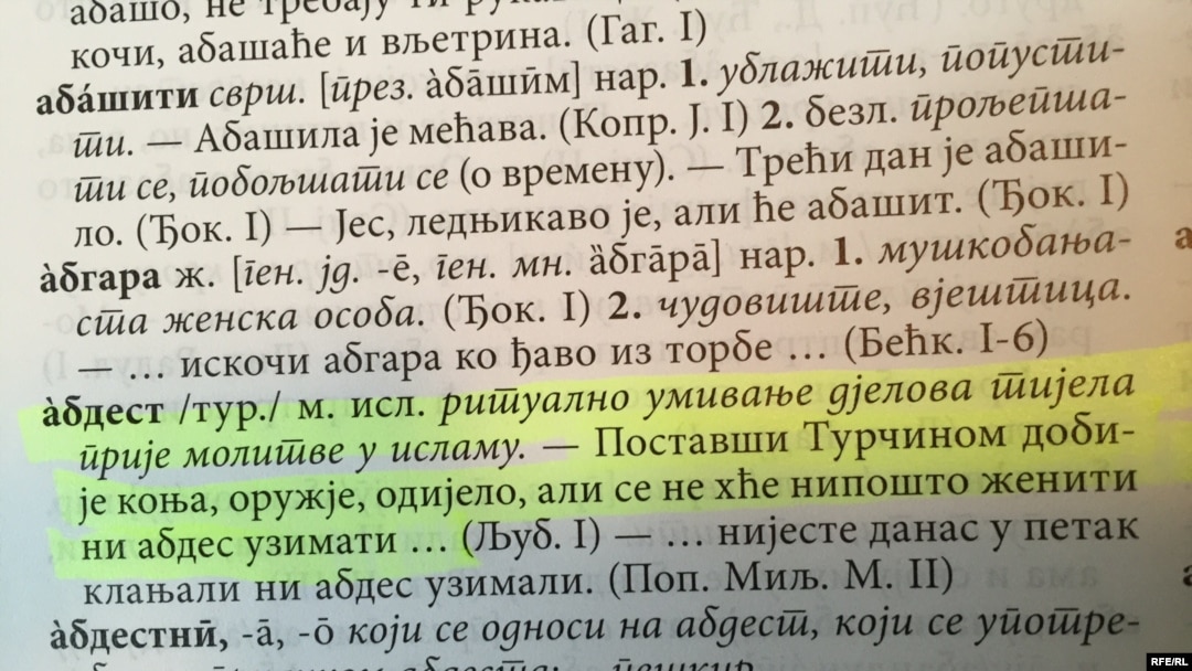 Sporni dijelovi Rječnika CANU-a 