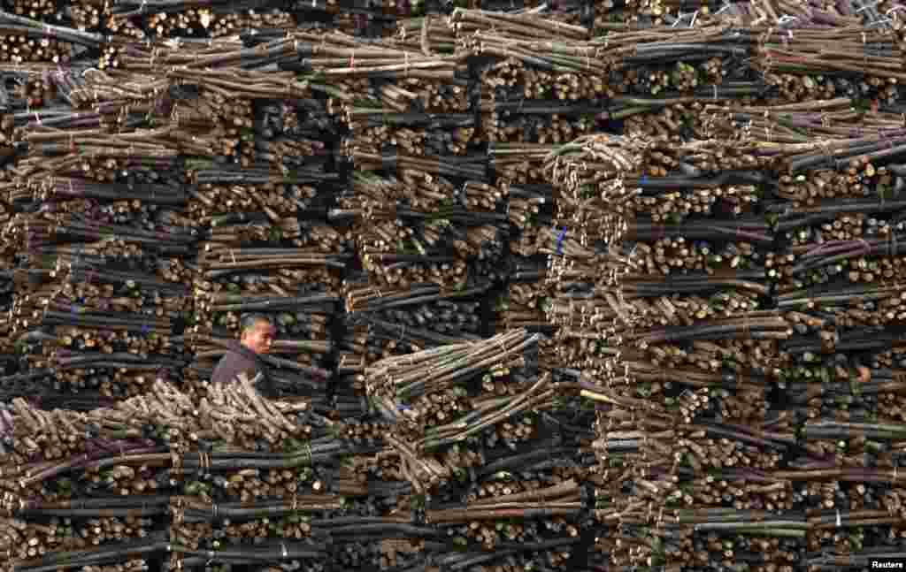 A worker walks past piles of wood at a wood processing factory in Huaibei, Anhui Province, China. (Reuters)