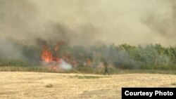 Пожар вблизи поселка Володарка. Западно-Казахстанская область, 16 августа 2021 года. Фото предоставлено ДЧС Западно-Казахстанской области