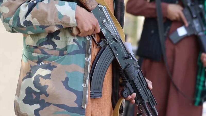 طالبان: د کابل په پغمان کې ۴ داعشیان ژوندي نیول شوي