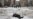 UN Report Finds 'Rampant Impunity' For Killings In Eastern Ukraine