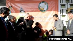 په کندهار کې د سږ کال د واکسینو د لومړني کمپاین د پیل یو انځور