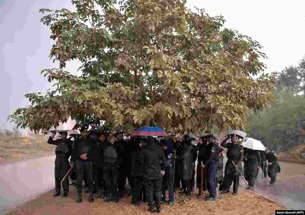 Pakistani police officers gather under a tree during a heavy rain near an Islamabad court where ousted Pakistani Prime Minister Nawaz Sharif appeared on November 15 to face corruption charges. (AFP/Aamir Qureshi)