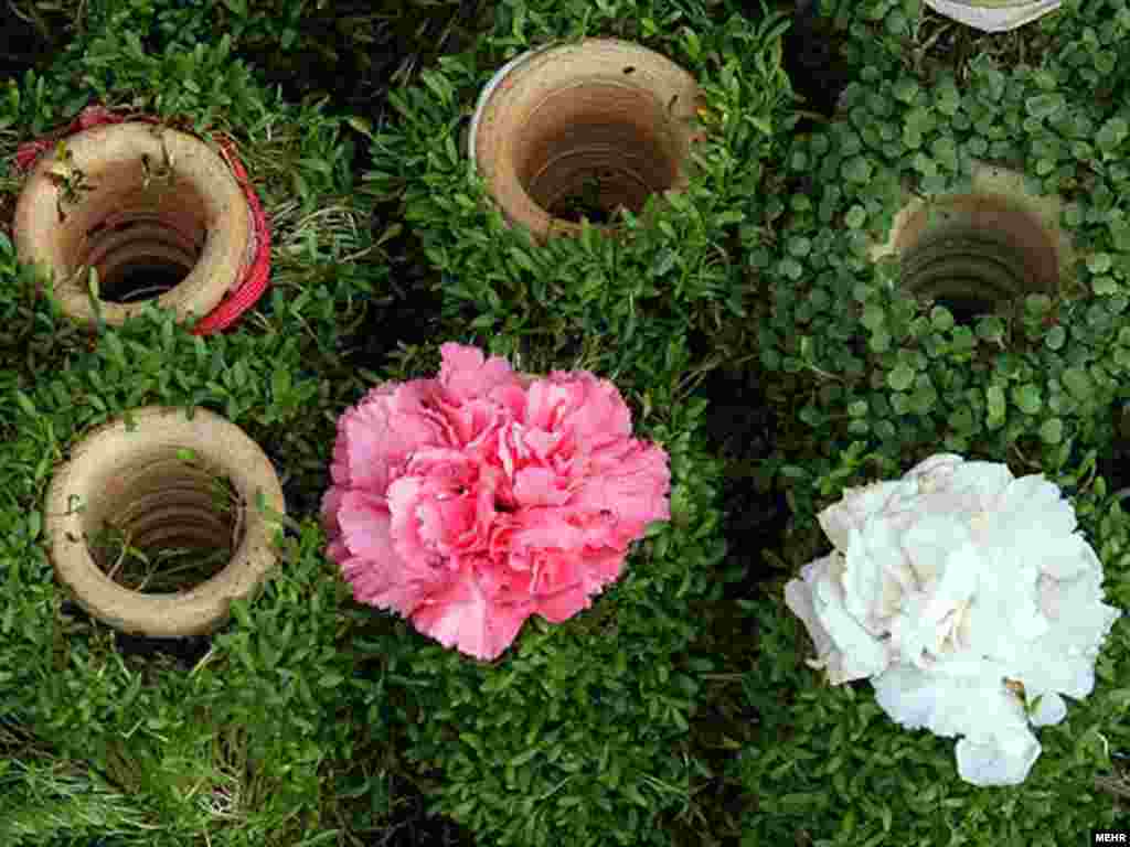 جوانه گندم که روز جدار کوزه های کوچک سبز شده است. این کوزه ها را به عنوان سبزه کنار سفره هفت سین می گذارند.عکس از مهر