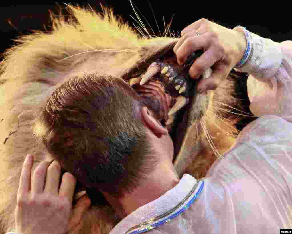 Lion tamer Oleksiy Pinko puts his head into a lion's mouth in a Kyiv circus. (Reuters/Gleb Garanich)