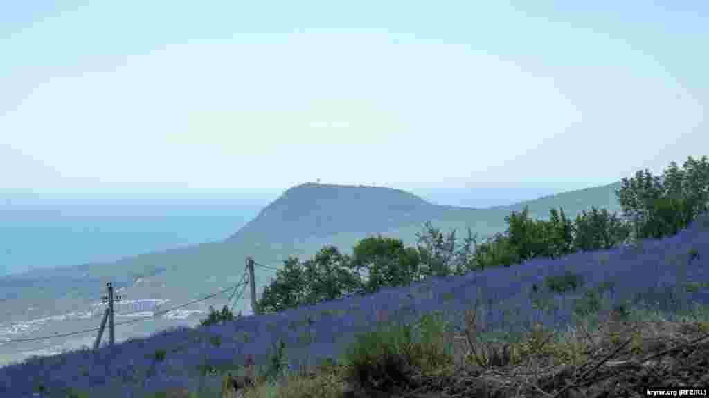 Гірська лаванда на околиці Верхньої Кутузовки. На дальньому плані &ndash; приморська гора Кастель