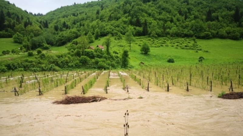 „Țara calamităților”: doar 1% din suprafețele agricole sunt asigurate