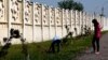 Умумхалқ ҳашарида ўтқазилган минглаб арчалар Ўзбекистон иссиқ иқлимига дош беролмай ва қаровсизликдан қуриб қолмоқда.