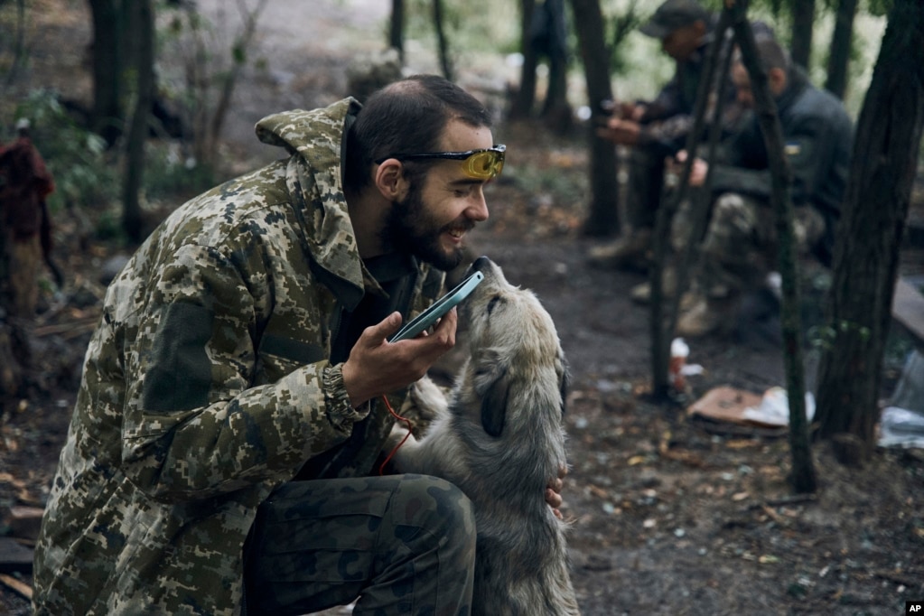 Një ushtar ukrainas duke luajtur me një qen në territorin e çliruar në rajonin e Harkivit, 12 shtator 2022.
