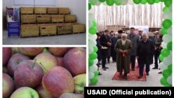 Кадамжайда ачылган логистикалык борбор.