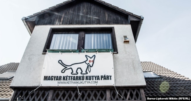 The Two-Tailed Dog Party started life as a joke: pledging to build a mountain and promising voters free beer and eternal life. But now the party is finding out that politics is not all fun and games.