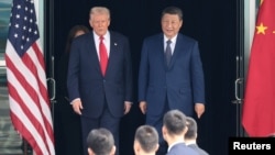 Дональд Трамп и Си Цзиньпин