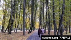 Ліпавая алея