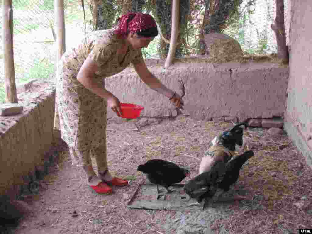 Uzbek Women Today #15