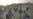 Enlisting Afghan Tribes Carries Risks