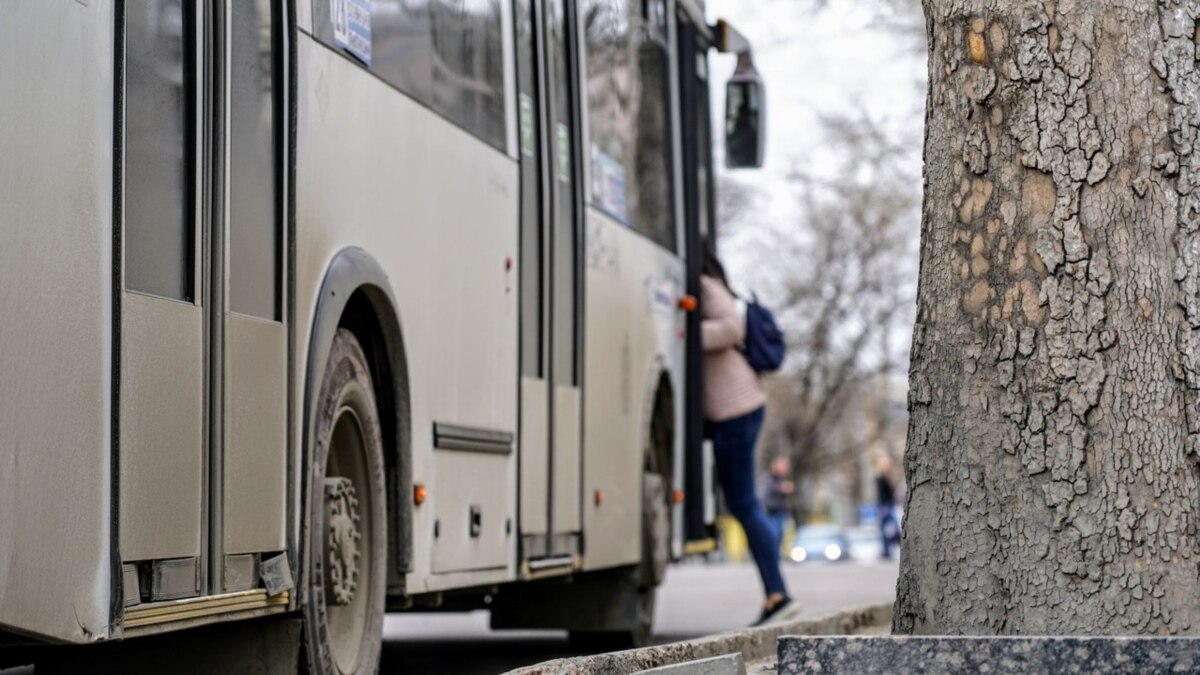 Власти Петербурга повысят цены на проезд в общественном транспорте на ...