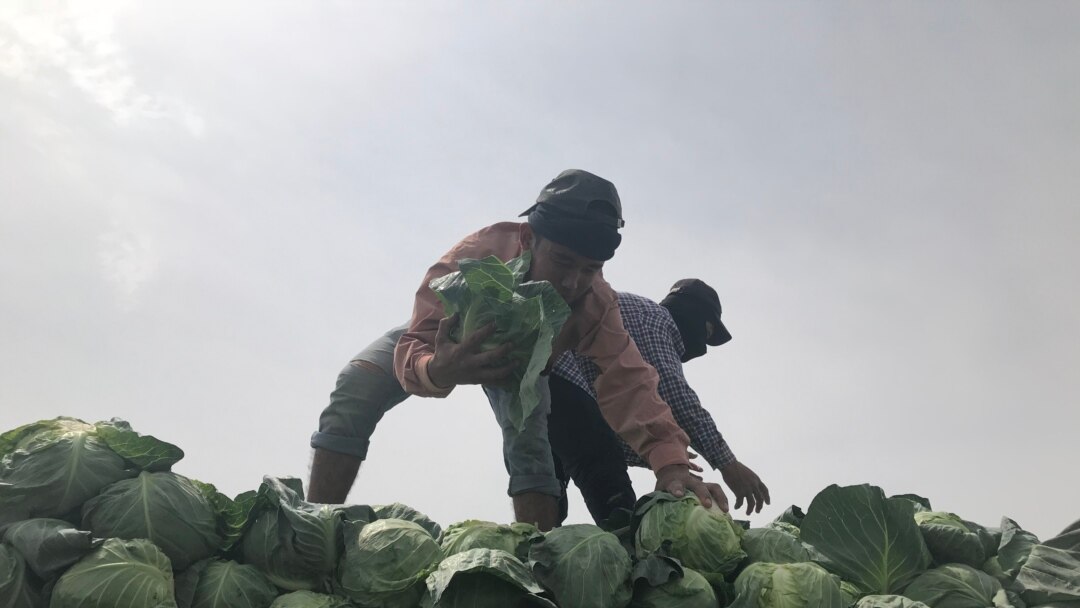 Ақ трусики киген