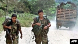 Two members of the rebel Revolutionary Armed Forces of Columbia (FARC) trek toward Los Pozos in Colombia (file photo)