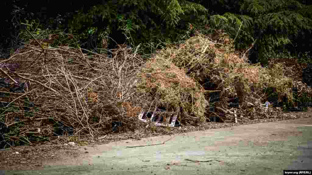Під час реконструкції в парку імені Гагаріна спиляли чимало дерев. Деякі гілки досі &laquo;чекають&raquo;, поки їх вивезуть