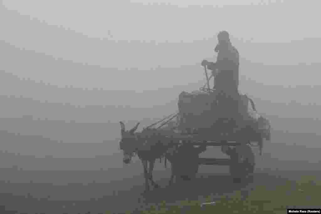 Një njeri me karrocën që e tërheq gomari përmes smogut të rëndë në Lahore të Pakistanit.&nbsp;