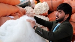 Afghan Recycling Business Brings An Ecological Boon