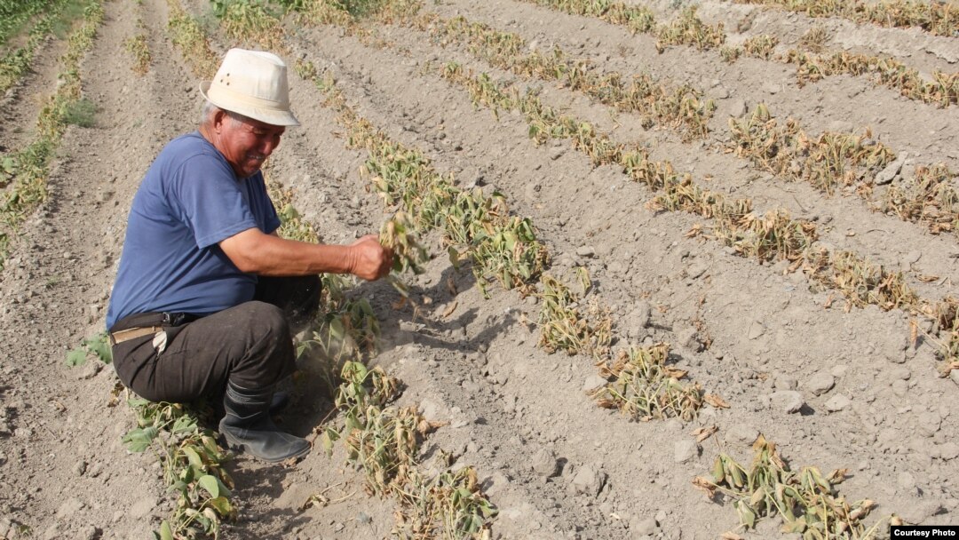 Анна Голд Прискила порно онлайн Төсекте досыңызбен юбкадағы секс