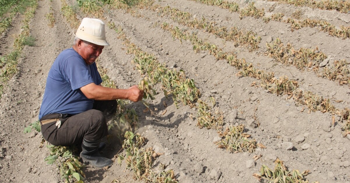 Ешектегі нейлон фотосы