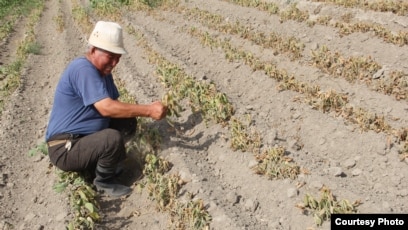 Смотреть секс порно ана онлайн