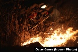 Desemnarea oficială a unui administrator pentru Parcul Natural Văcărești ar permite luarea măsurilor de prevenire și intervenție în caz de incendiu de vegetație.