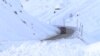 ДСНС попередила про «значну сніголавинну небезпеку» в Карпатах