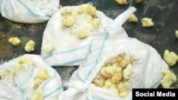 پیش از این رئيس‌جمهور ایران به وزیر اطلاعات دستور داده بود که علامان معدوم‌سازی جوجه‌های یک‌روزه «تحت تعقیب» قرار بگیرند