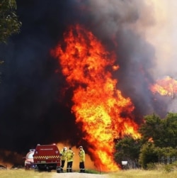 Фото зі сторінки у Facebook пожежно-рятувальної служби штату Новий Південний Вельс (Fire and Rescue NSW)