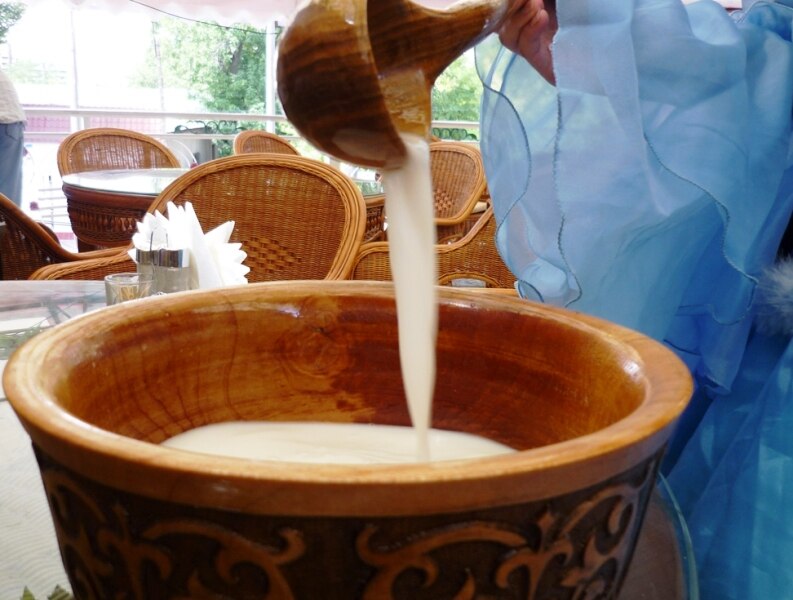 Struktura přírodního kazašského mléka
