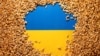 Еврокомиссия договорилась об ограничении импорта зерна из Украины