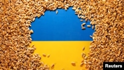 Украинското знаме и зърно. Снимката е илюстративна.