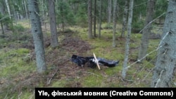 ფინეთში 29 მარტს ჩამოვარდნილი უკრაინული დრონი