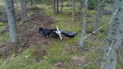 У Фінляндії впали українські дрони вперше від початку повномасштабного вторгнення Росії до України. Фінляндія, 29 березня 2026 року