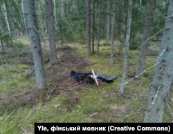 У Фінляндії впали українські дрони вперше від початку повномасштабного вторгнення Росії до України. Фінляндія, 29 березня 2026 року