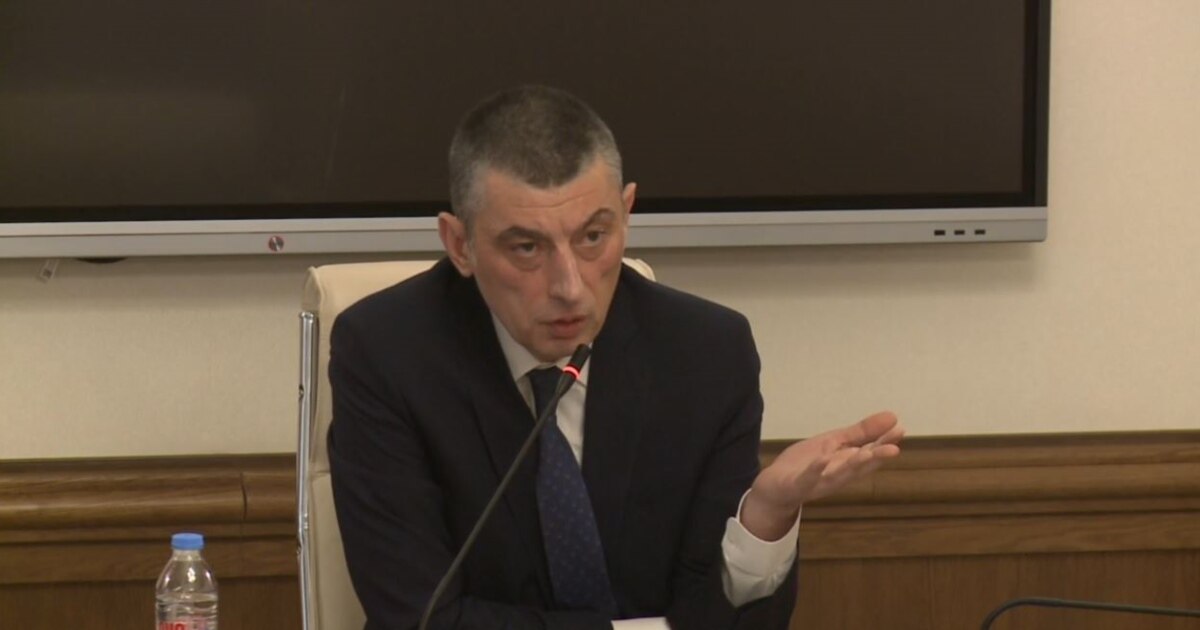 ჩემი იქ მისვლის შემდეგ თუ „ნაც. მოძრაობას“ უთხრეს, აღარ აგკრძალავთო, მადლობა მაინც მითხრან - გახარია