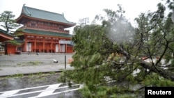 Паднато дрва како последица на тајфунот во западна Јапонија.