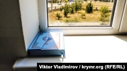 Архив фотосы