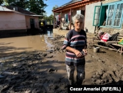 Stefana Bodea stayed in her attic for nine hours before being rescued by a tractor.