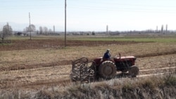 Архивска фотографија