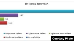 Grafikon iz istraživanja