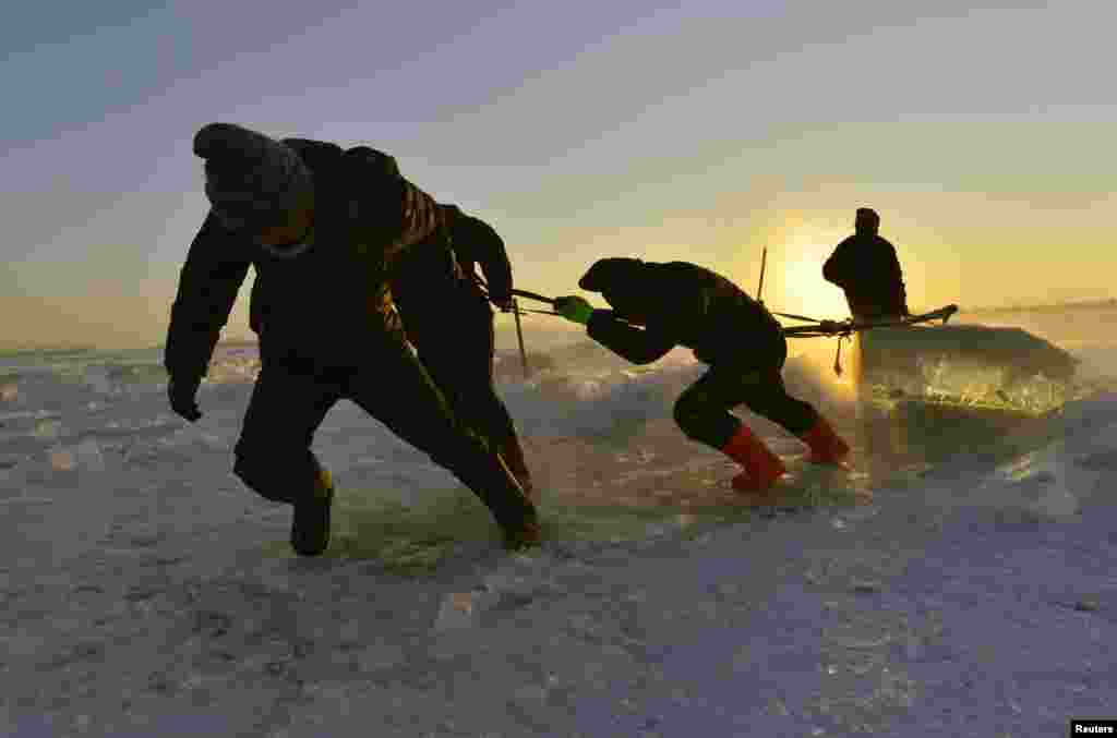 Punëtorët tërheqin një kub akulli gjigant jashtë lumit të ngrirë Songhua, prej nga ata do të bëjnë skulptura për Festivalin e Akullit dhe Borës, në provincën Heilongjiang.