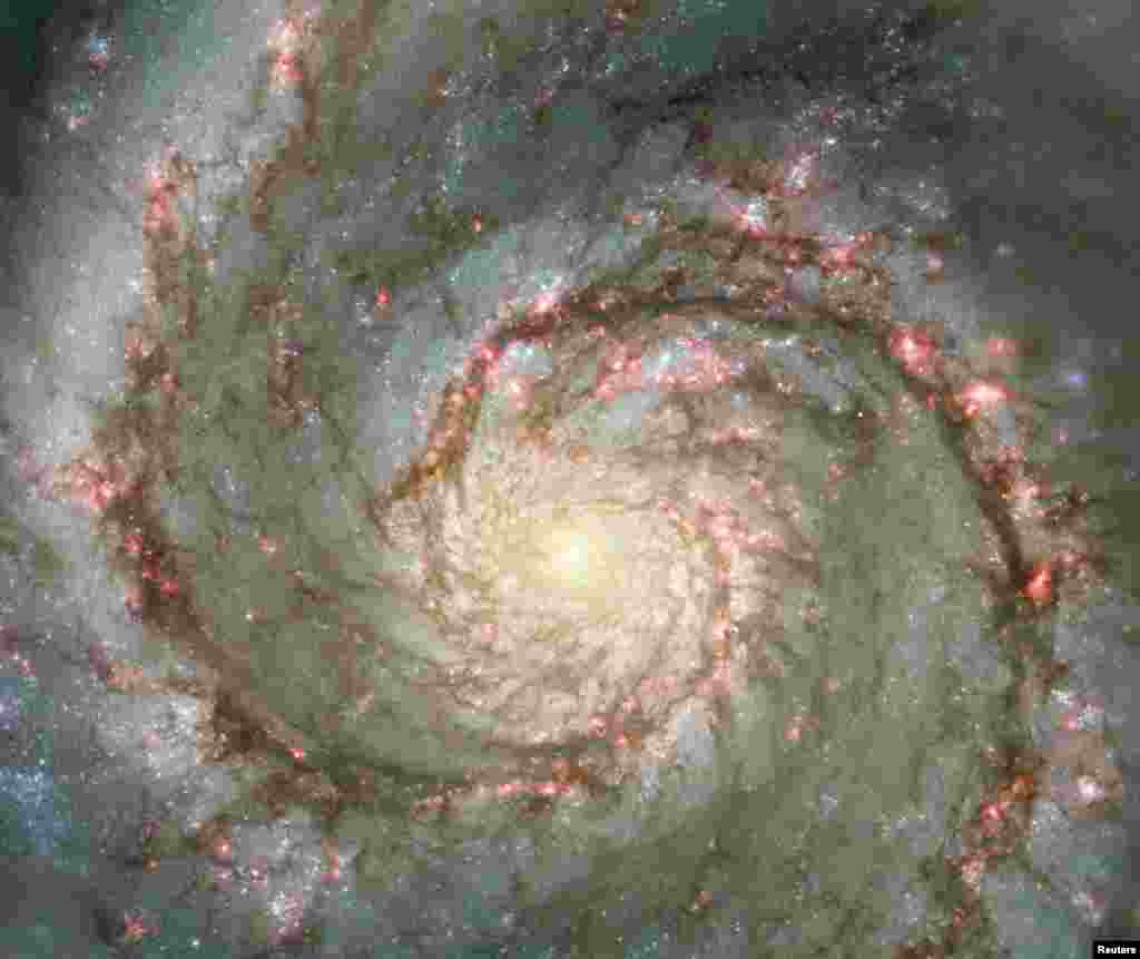 Galaxia Whirlpool (Reuters)